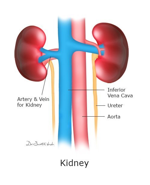 best kidney cancer doctor in ahmedabad