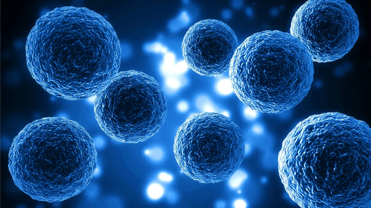 Ablation Techniques