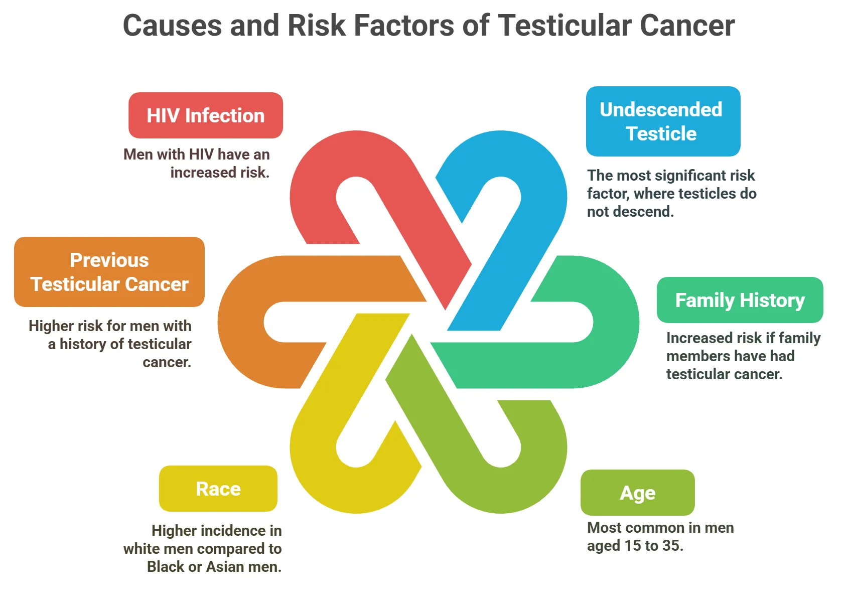 Causes and Risk Factors of Testicular Cancer