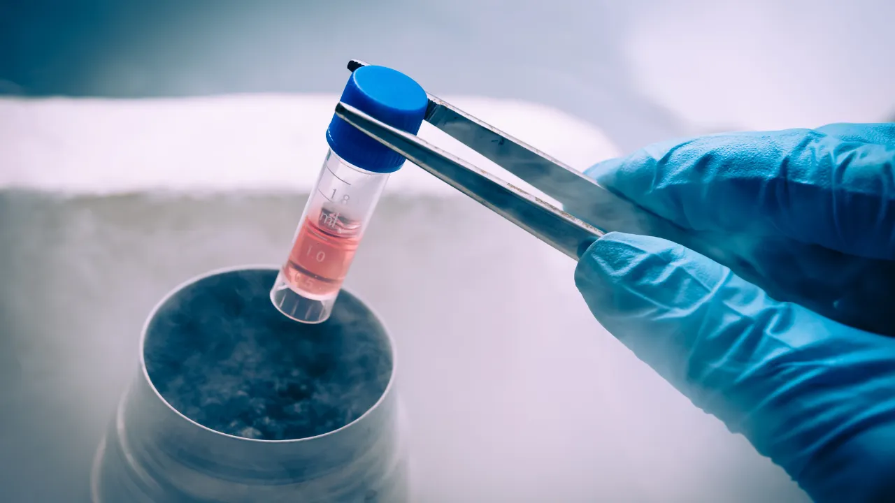High-Dose Chemotherapy with Stem Cell Transplant