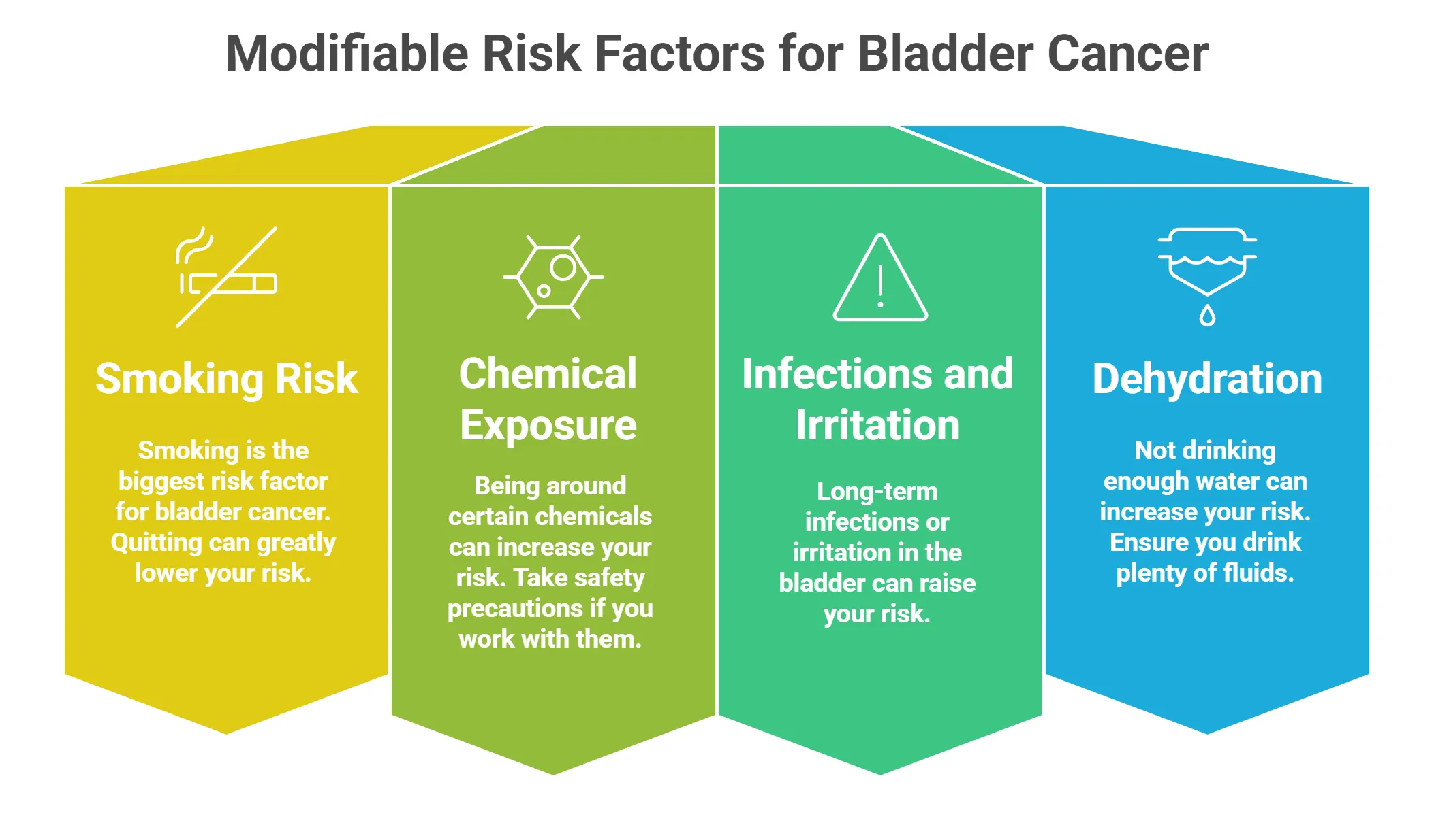 Modifiable Risk Factors for Bladder Cancer