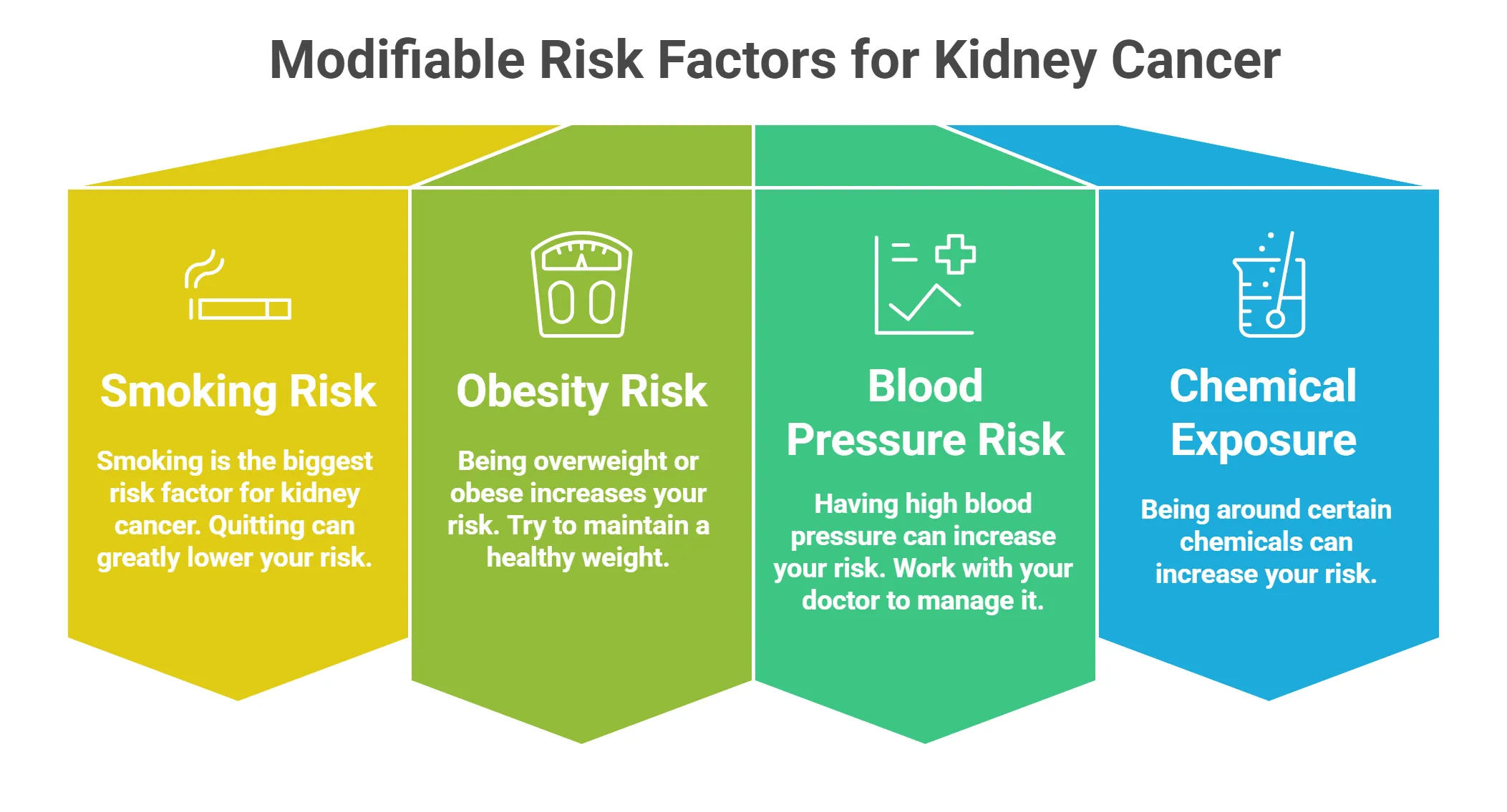 Modifiable Risk Factors for Kidney Cancer