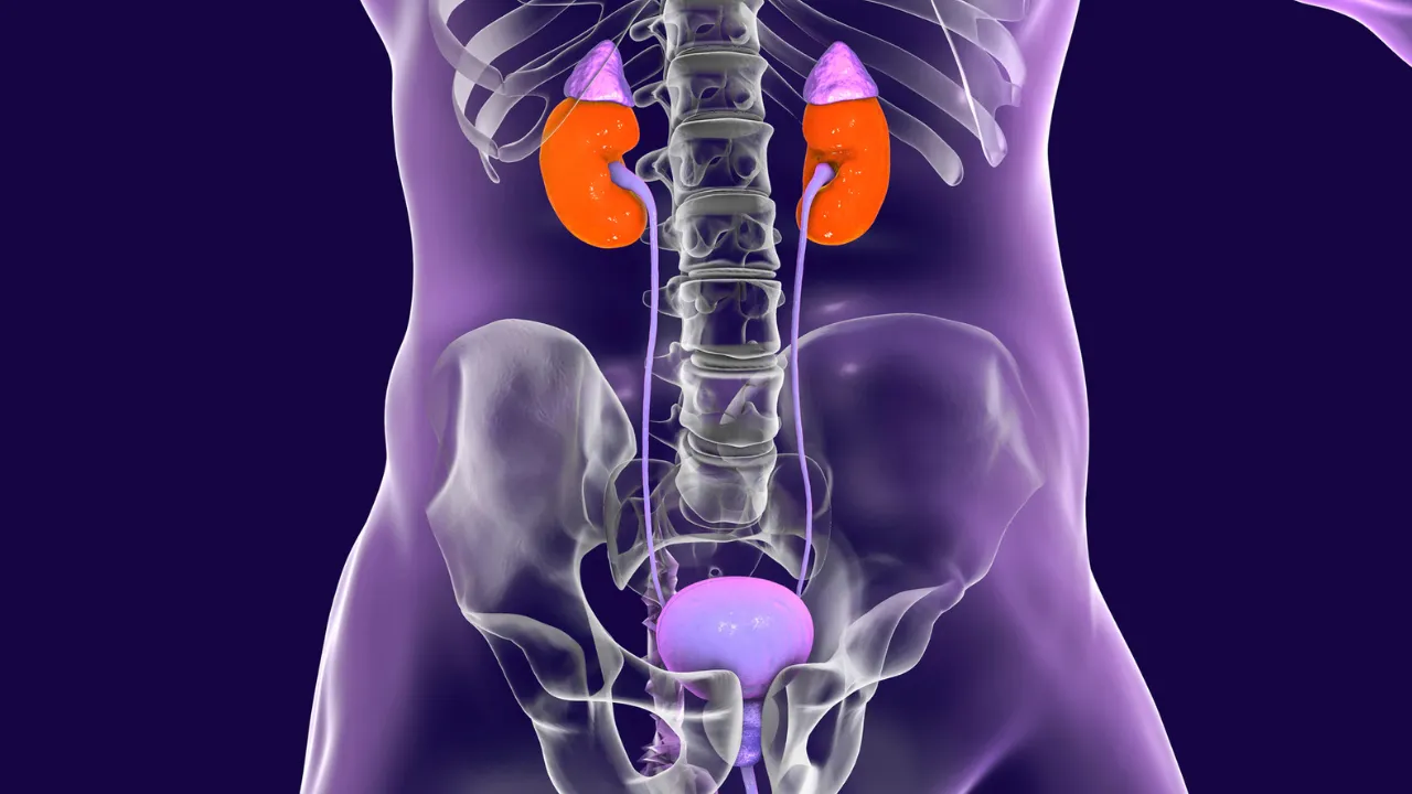 Nephroureterectomy