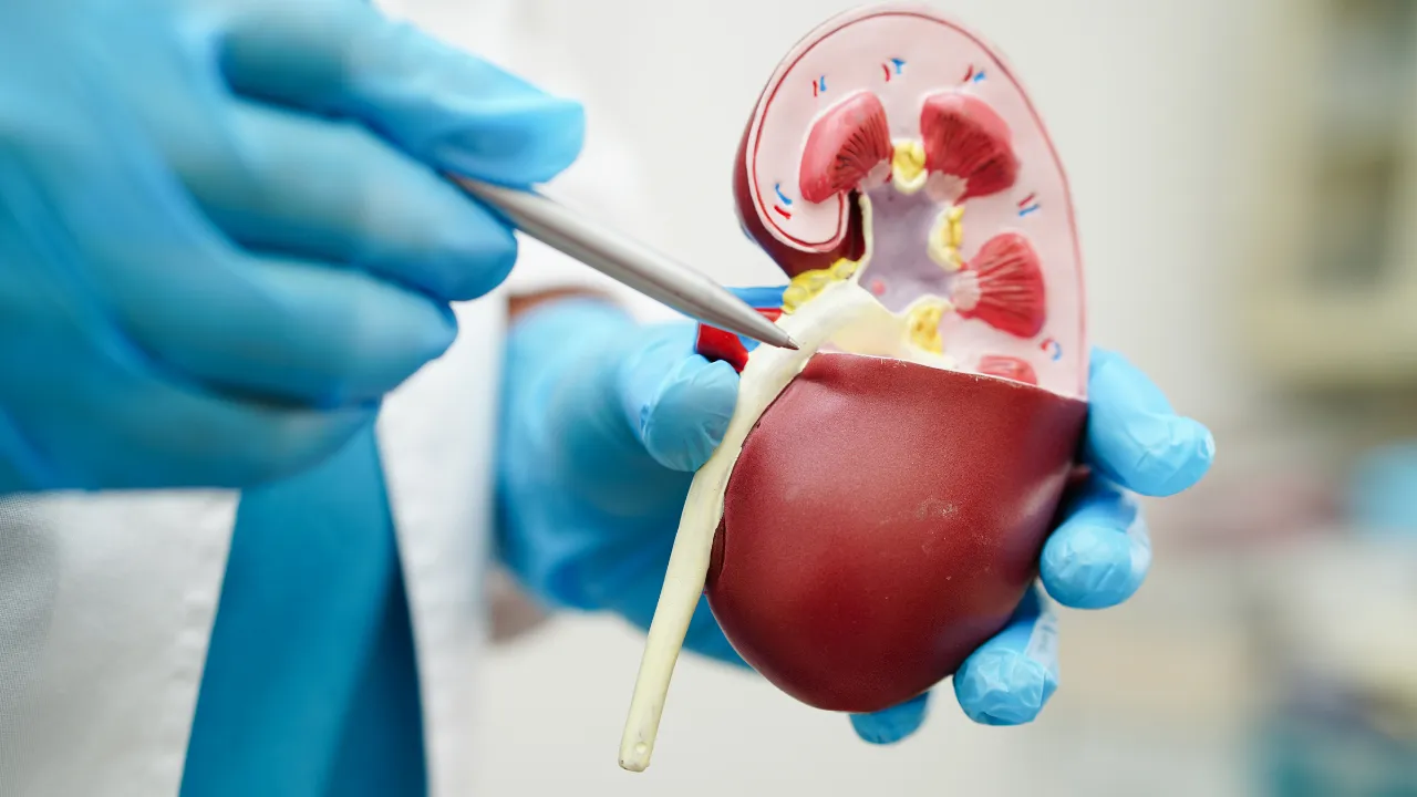 Partial Nephrectomy