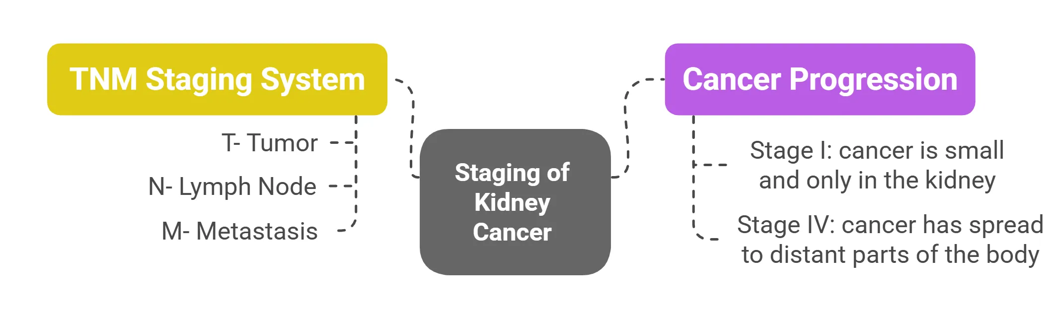 Staging of Kidney Cancer