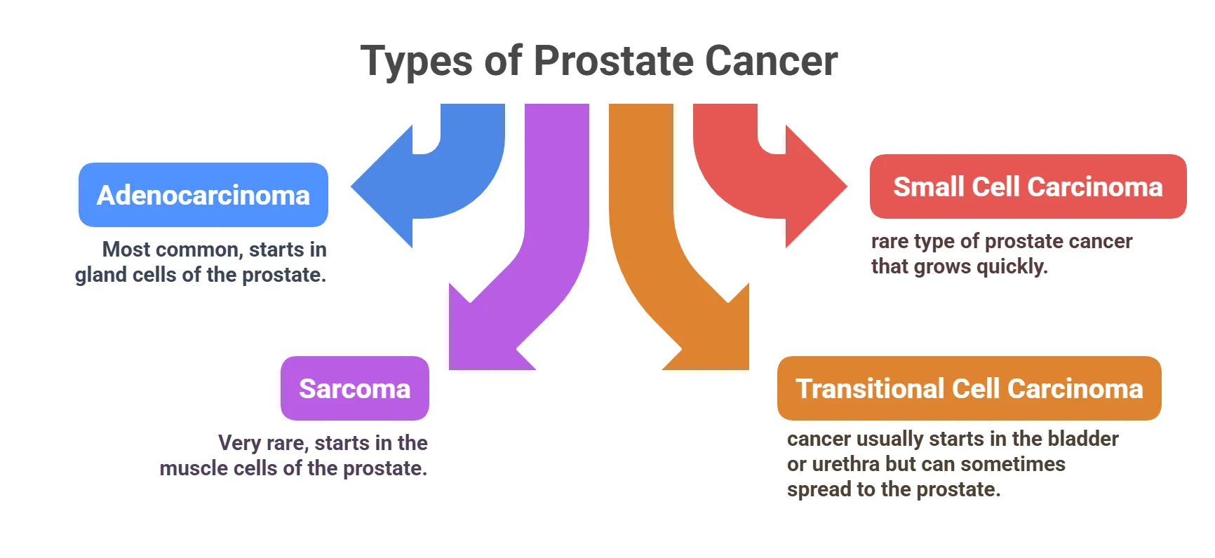 Types of Prostate Cancer
