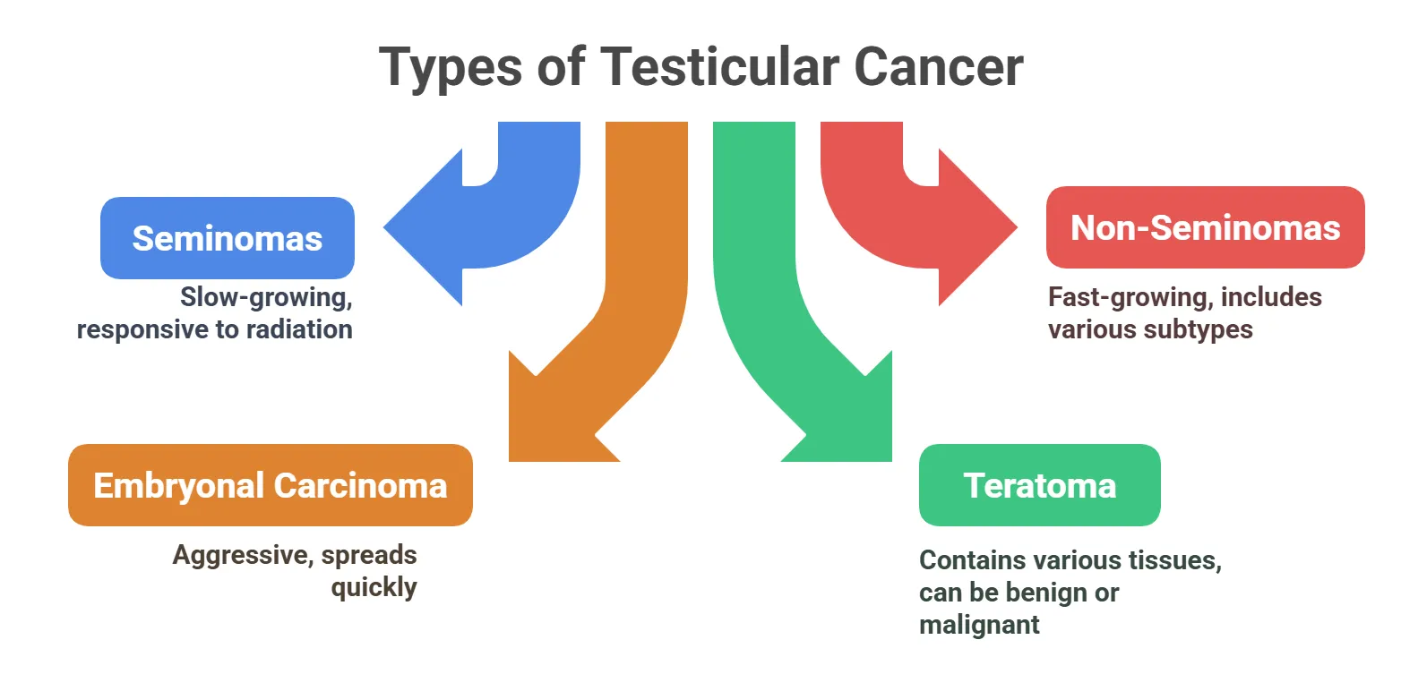 Types of Testicular Cancer