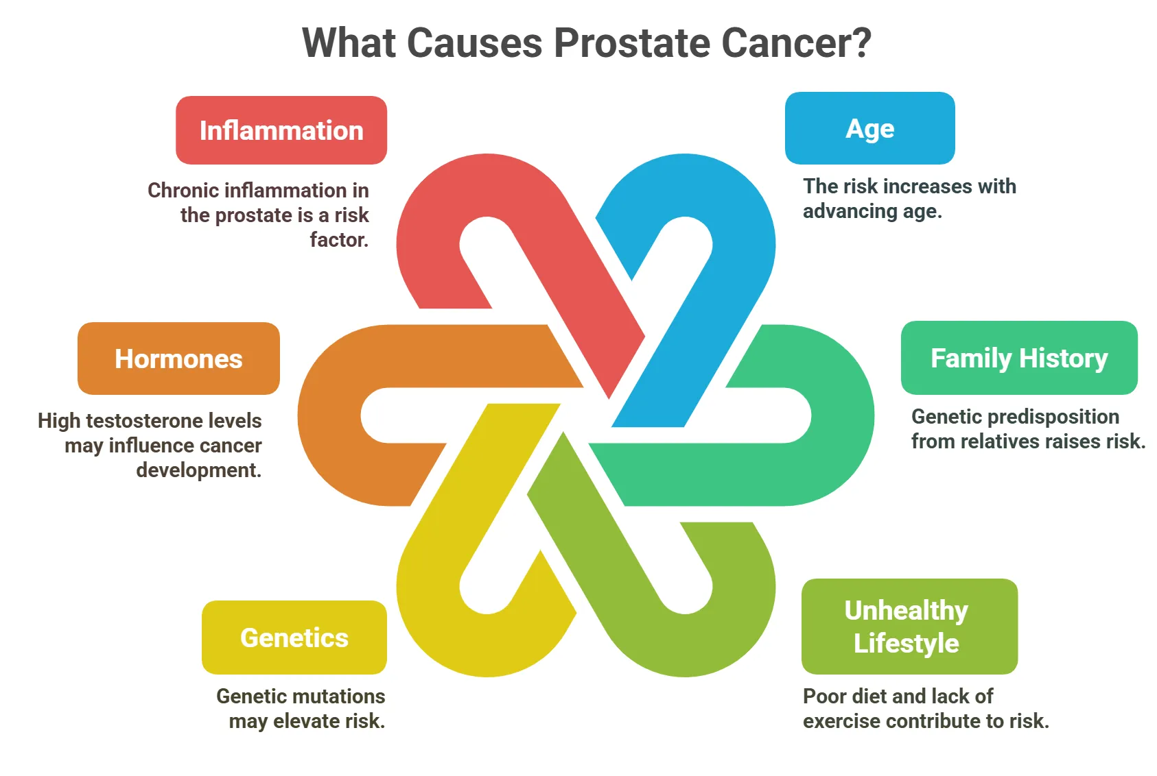 What Causes Prostate Cancer