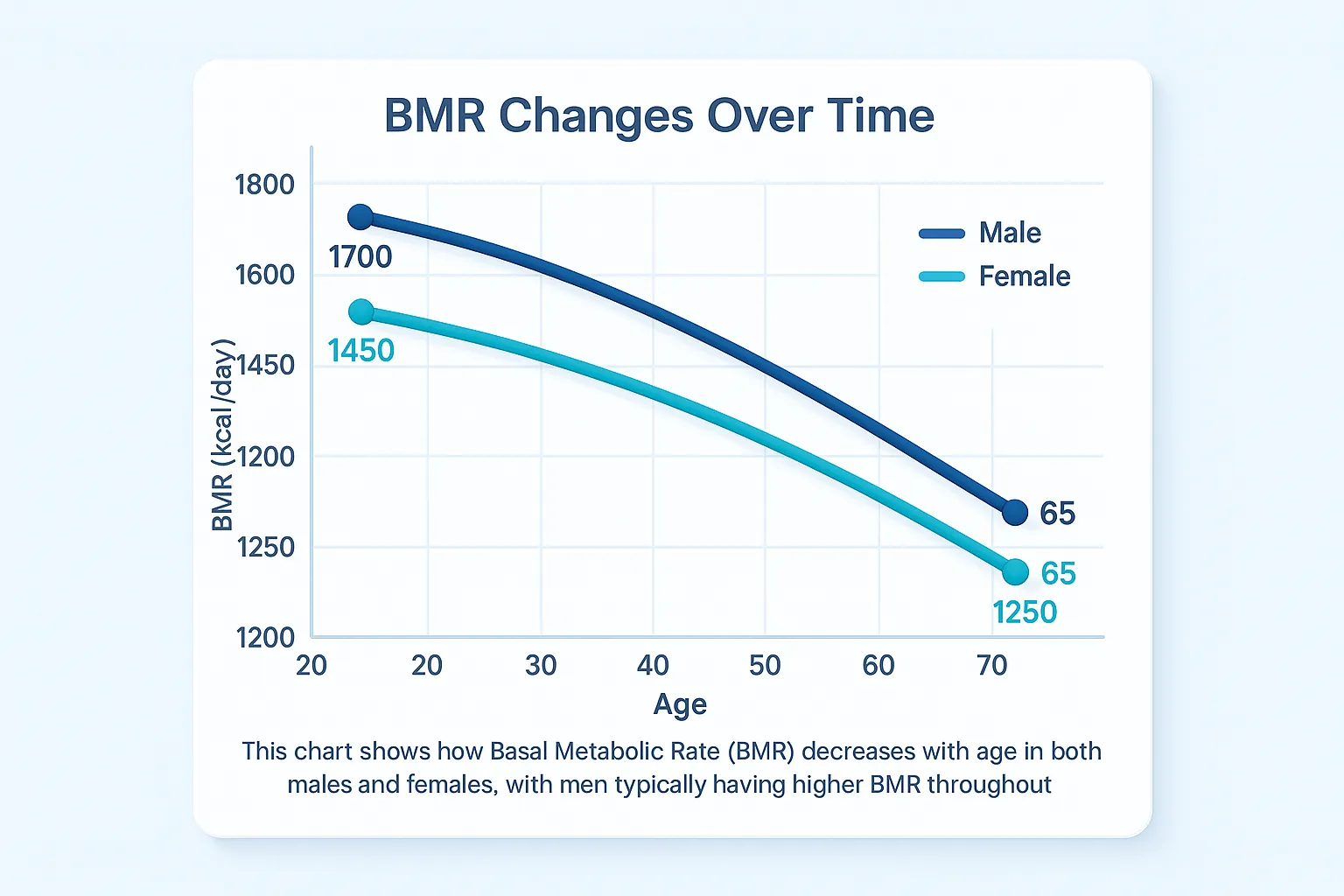 bmr changes over time