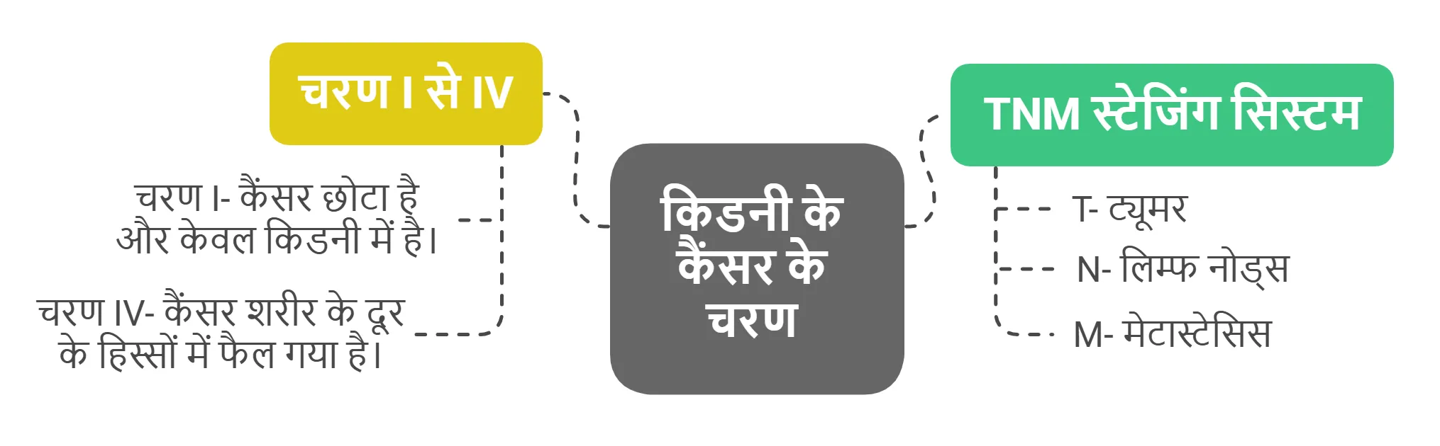 किडनी के कैंसर के चरण