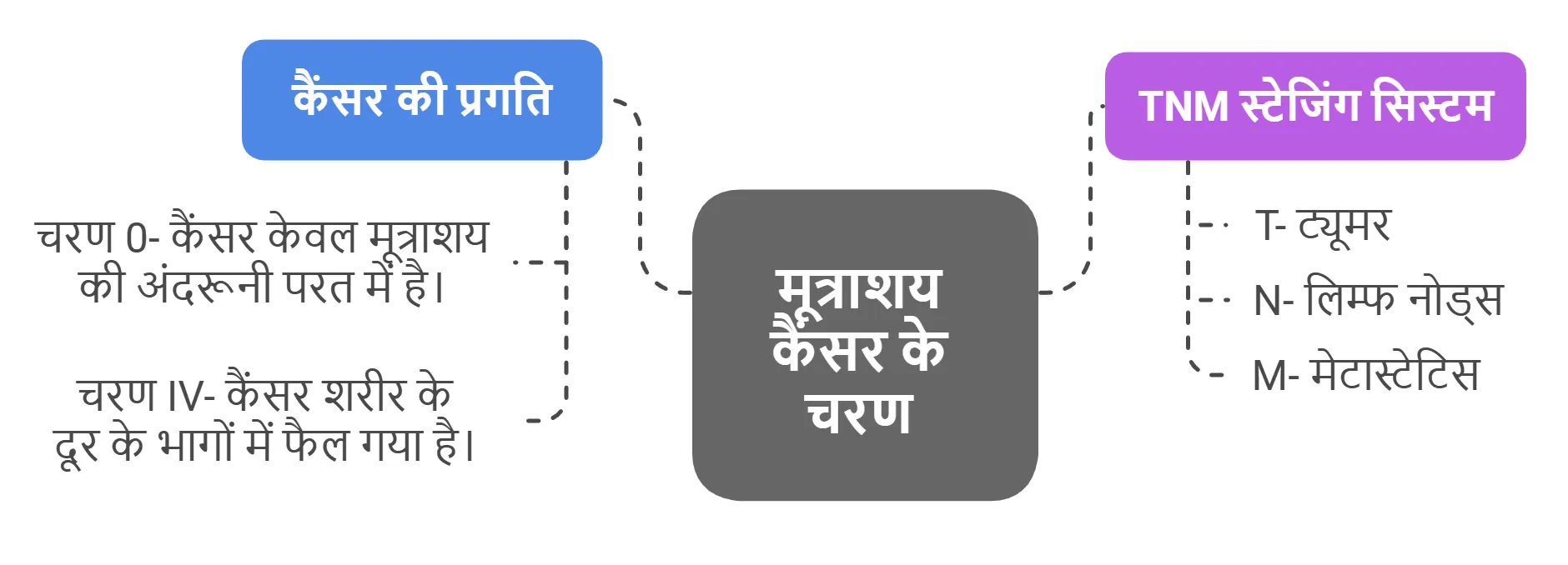 मूत्राशय कैंसर के चरण