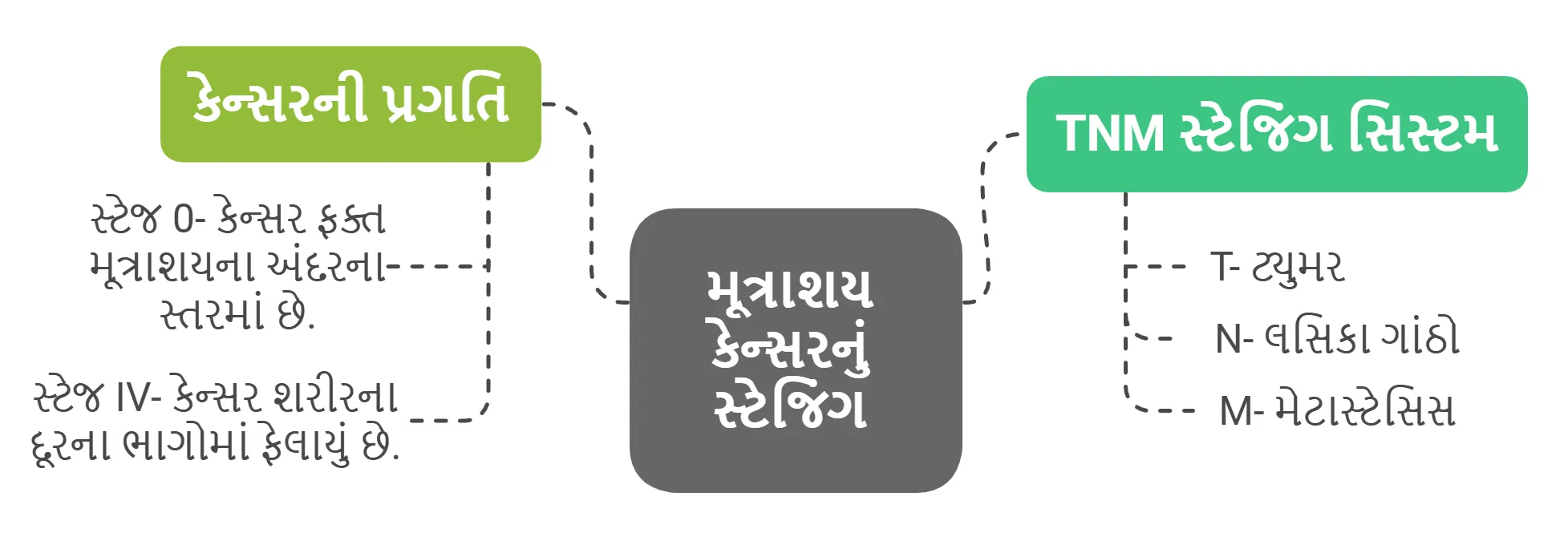 મૂત્રાશય કેન્સરનું સ્ટેજિંગ