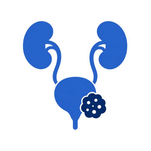 Urogenital Cancers